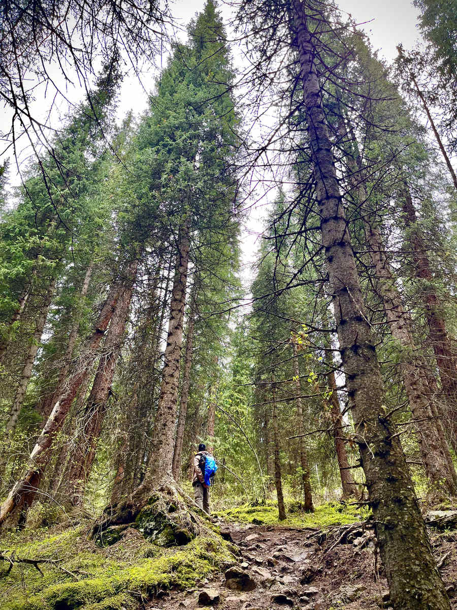 Go hiking to Kolsai Lake 2